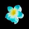 Pince à cheveux - Ocean Flower