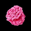 Pince à cheveux - Pink Blossom