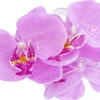 Pince à cheveux - Purple Orchid
