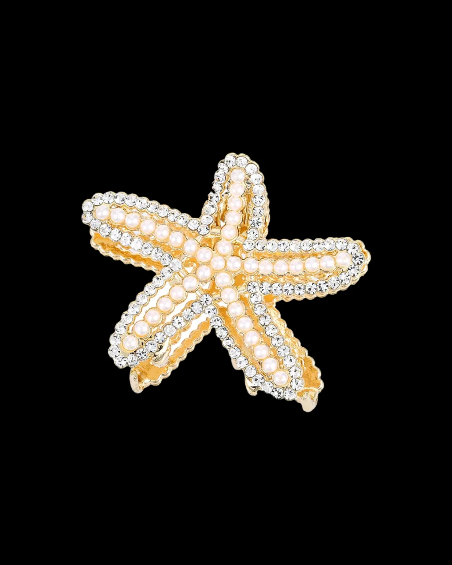Pince à cheveux - Wonderful Star