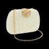 Pochette rigide - White Shell